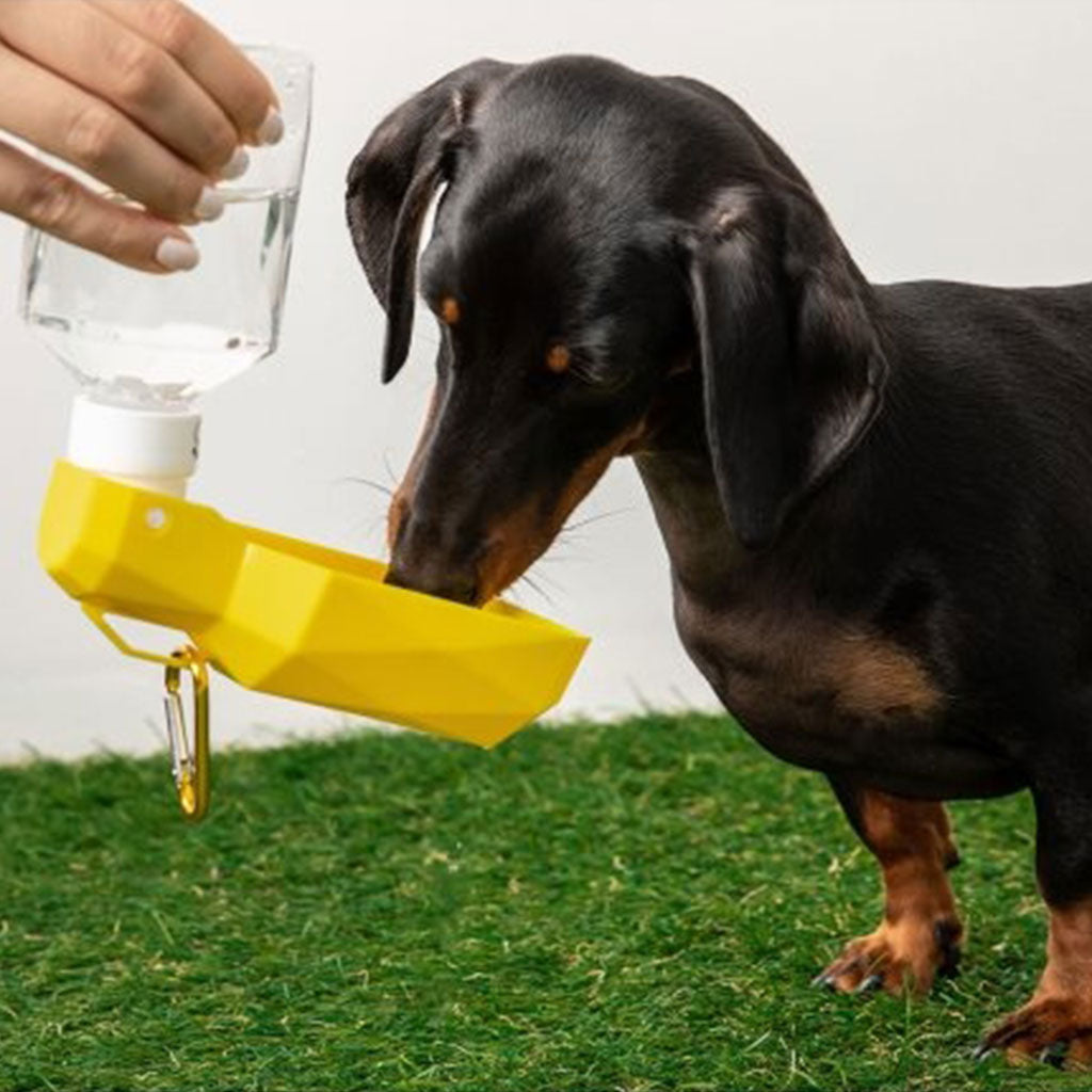 Water Bottle Yellow