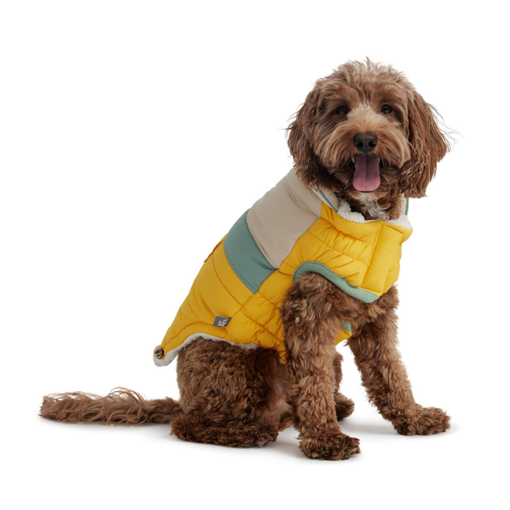 Elasto-Fit Camplife Puffer Yellow