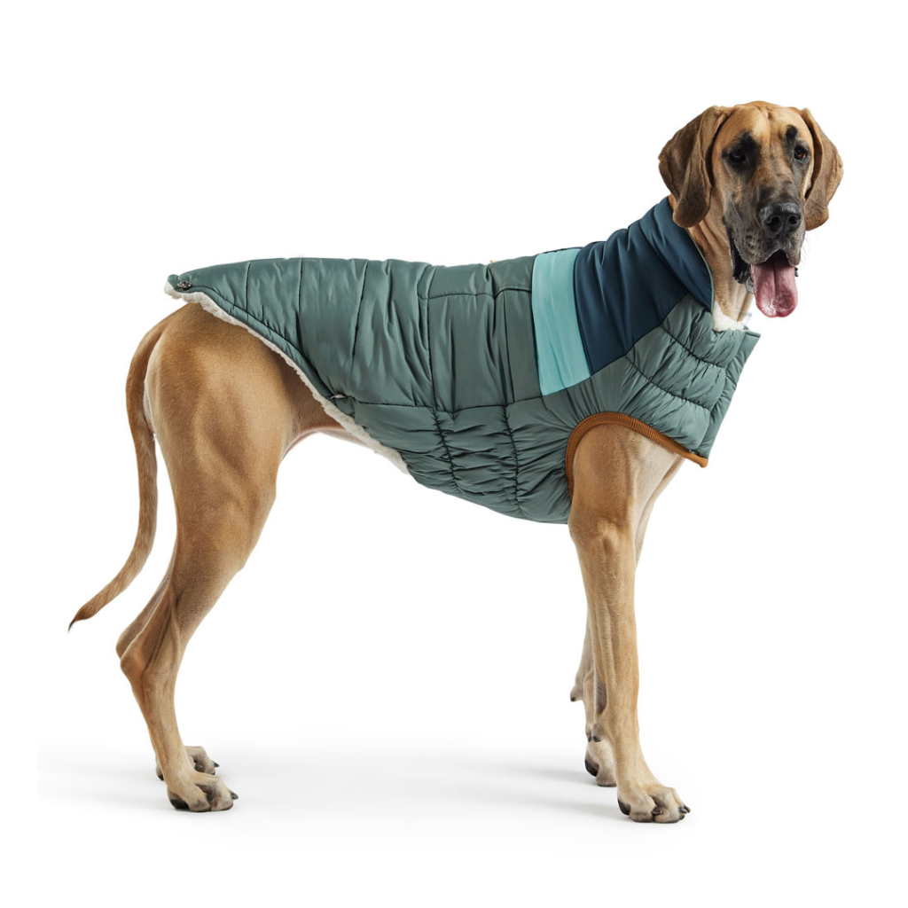Elasto-Fit Camplife Puffer Sage