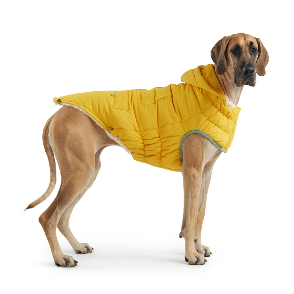 Elasto-fit Arctic Parka Yellow