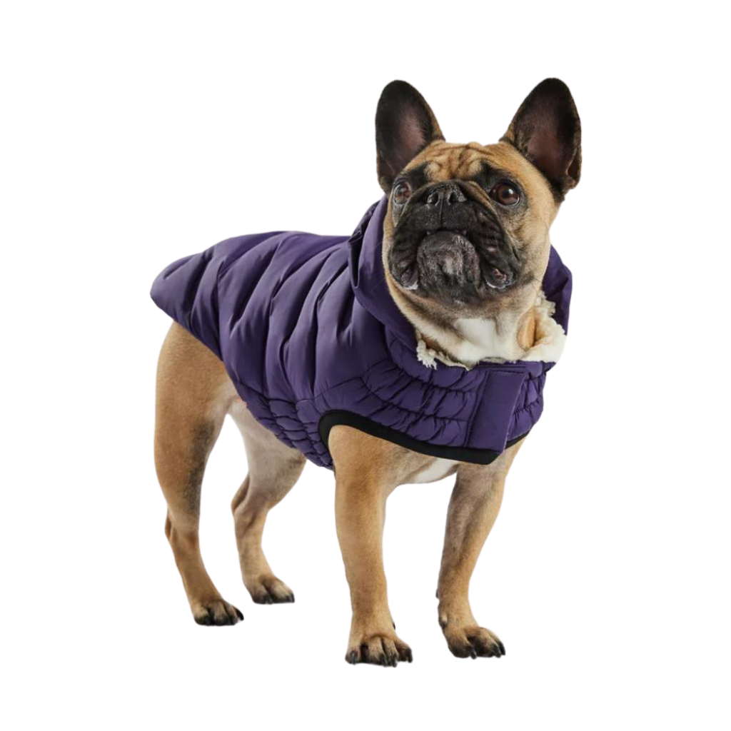 Elasto-fit Cloud Parka Purple