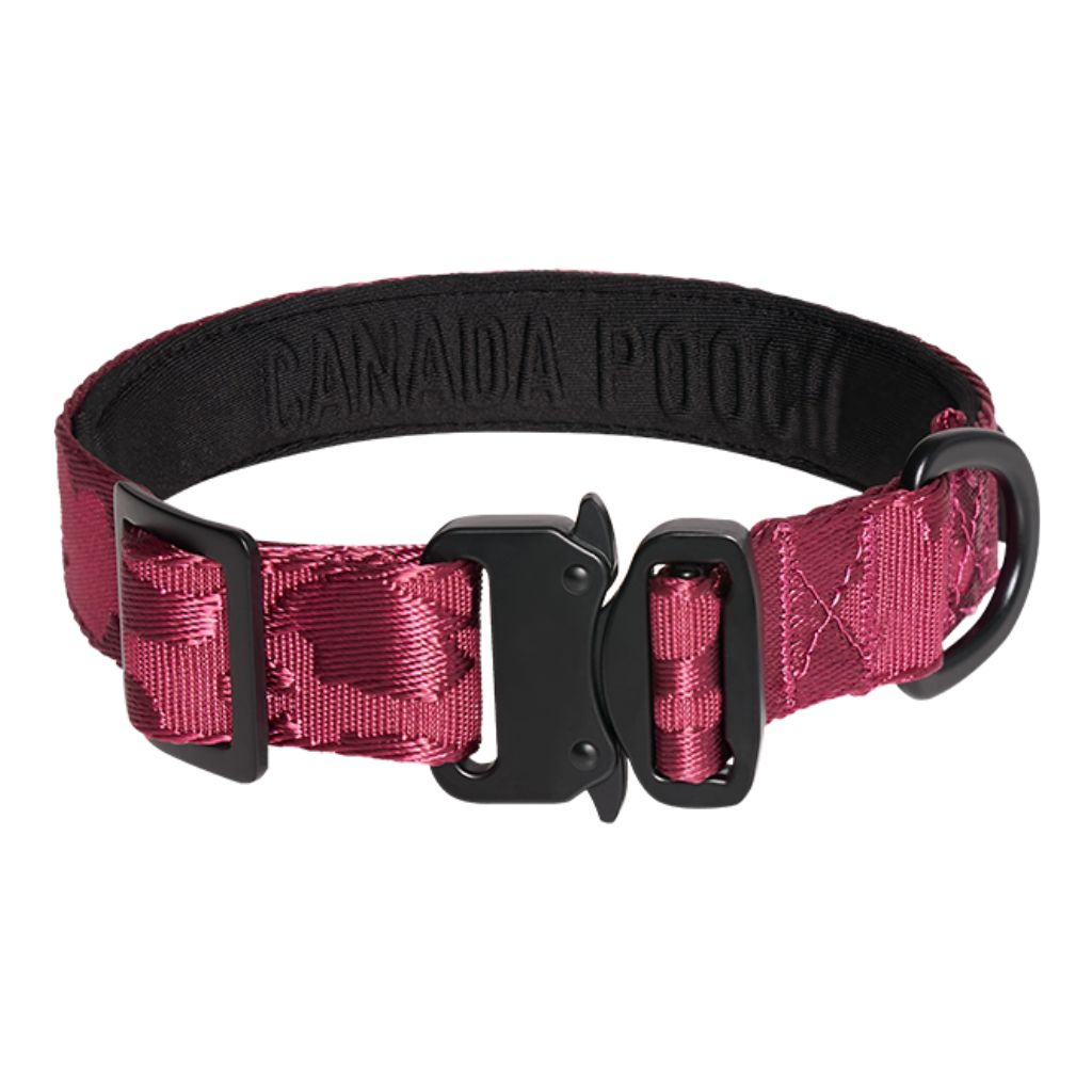 Core Utility Collar Plum Camo