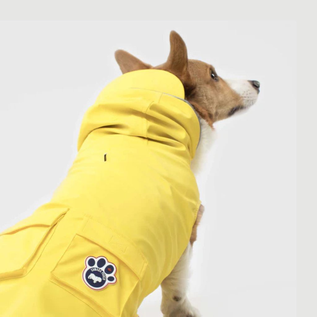Core Torrential Tracker Yellow