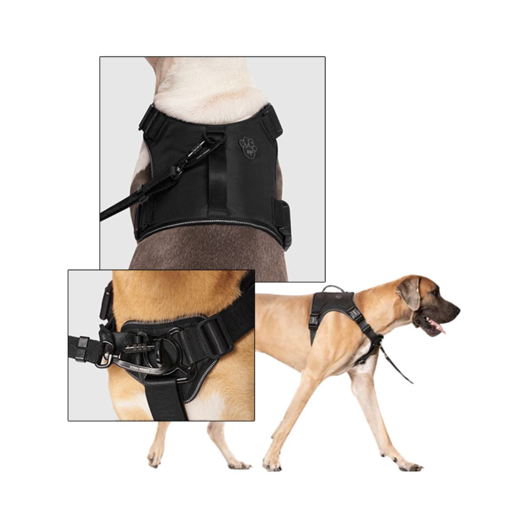 Canada Pooch Core Complete Control Harness Black – Naturally Urban