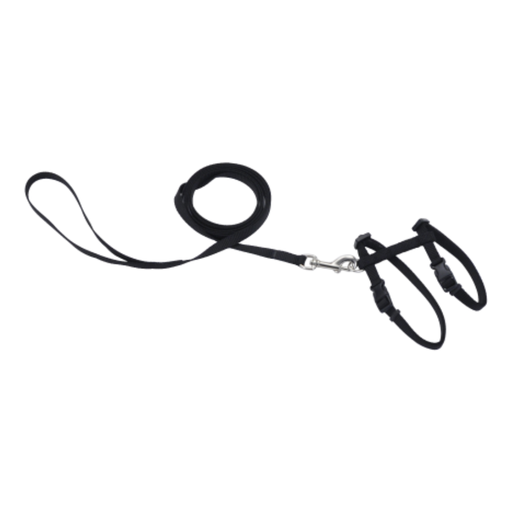 Harness with Leash Black