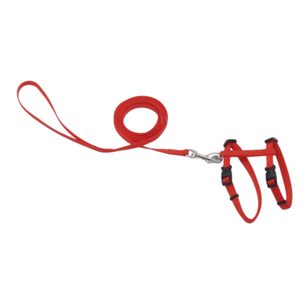 Harness with Leash Red