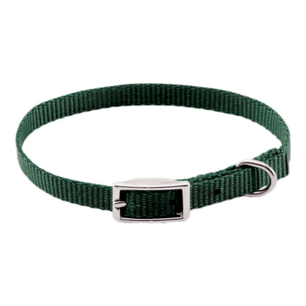 Standard Nylon Collar Hunter Green
