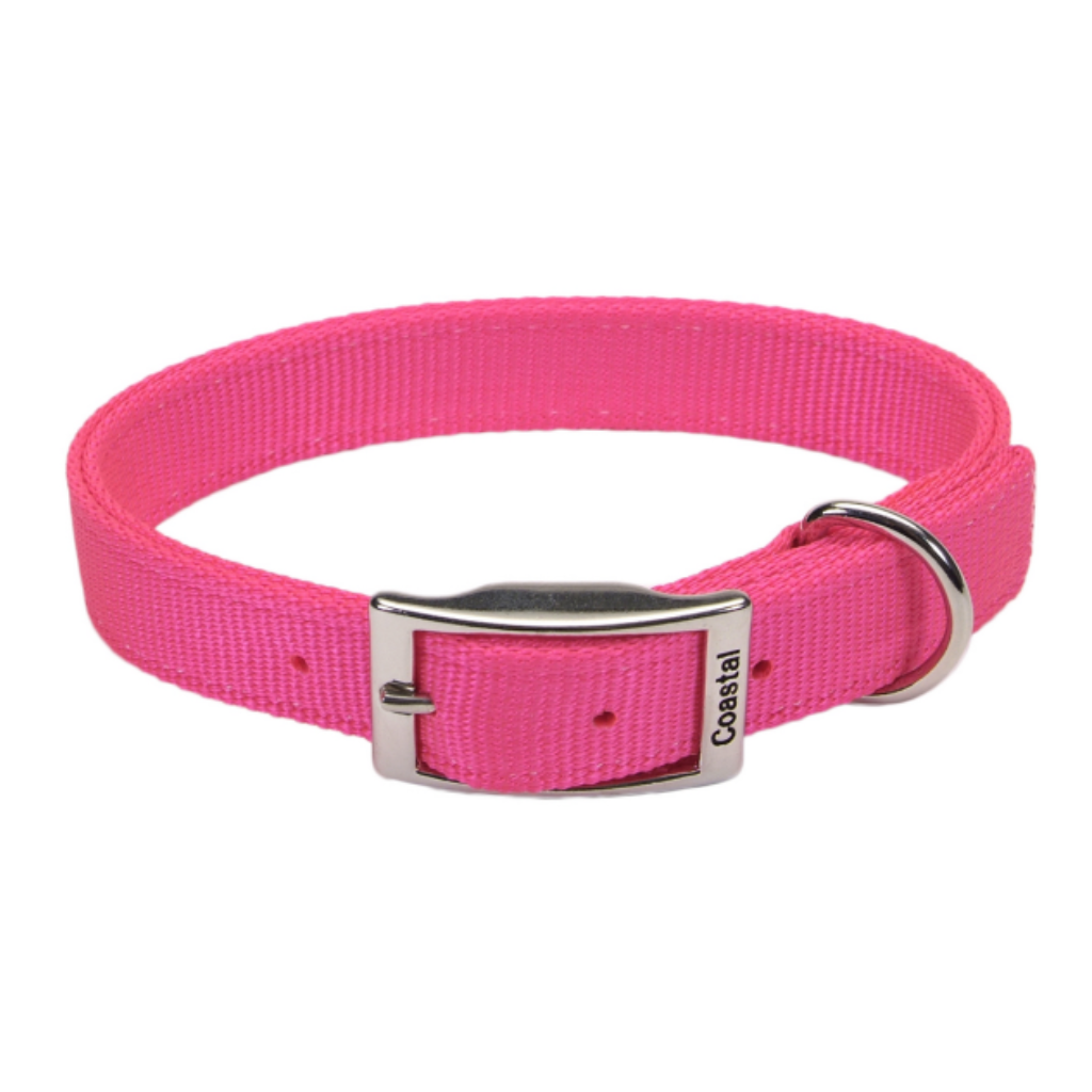 DoublePly Standard Nylon Collar 1x18" Neon Pink