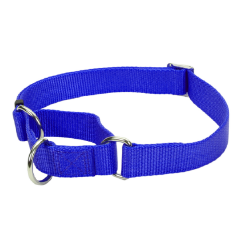 No Slip Martingale Adj Collar Blue