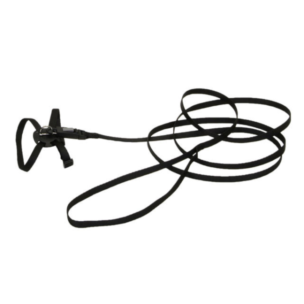 Li'l Pals Kitten Adj Harness with Leash Black