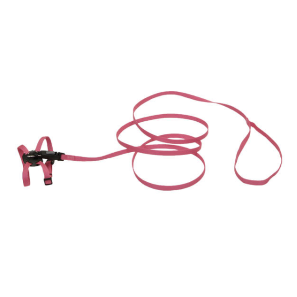 Li'l Pals Kitten Adj Harness with Leash Neon Pink