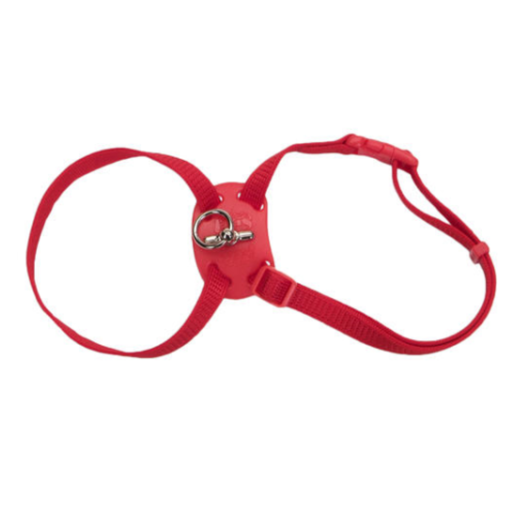 Snag Proof Adj Nylon Cat Harness Red