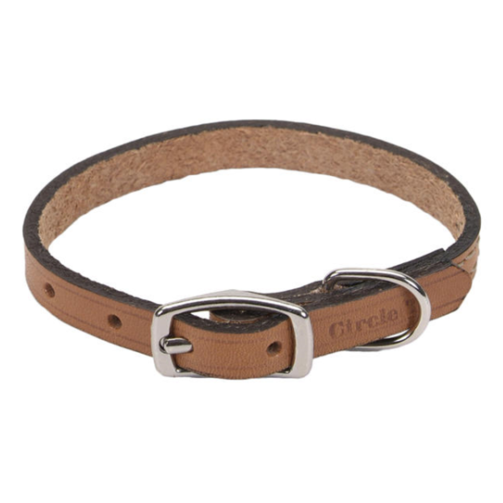 Circle T Oak Tanned Leather Town Collar Tan