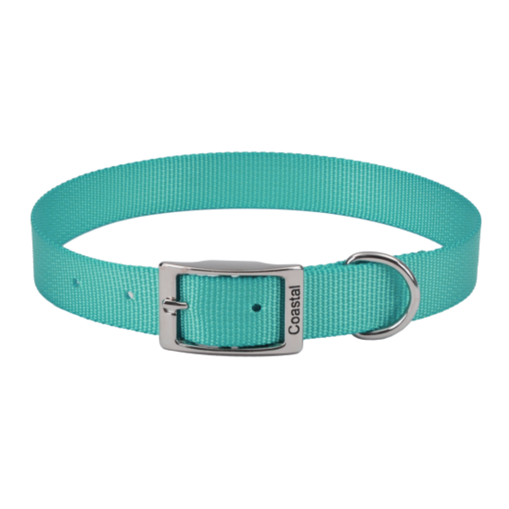 Single-Ply Collar Teal