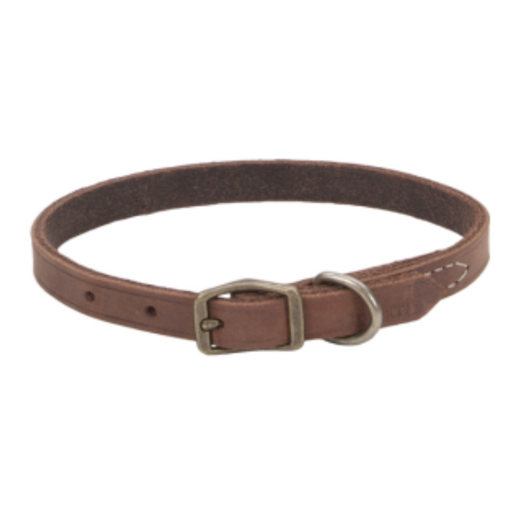 Circle T Rustic Leather Town Collar Chocolate