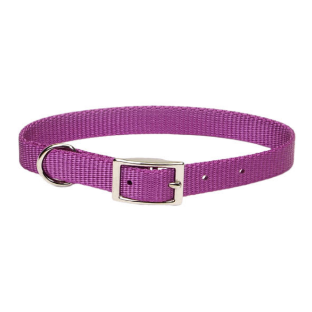 Standard Nylon Collar Orchid