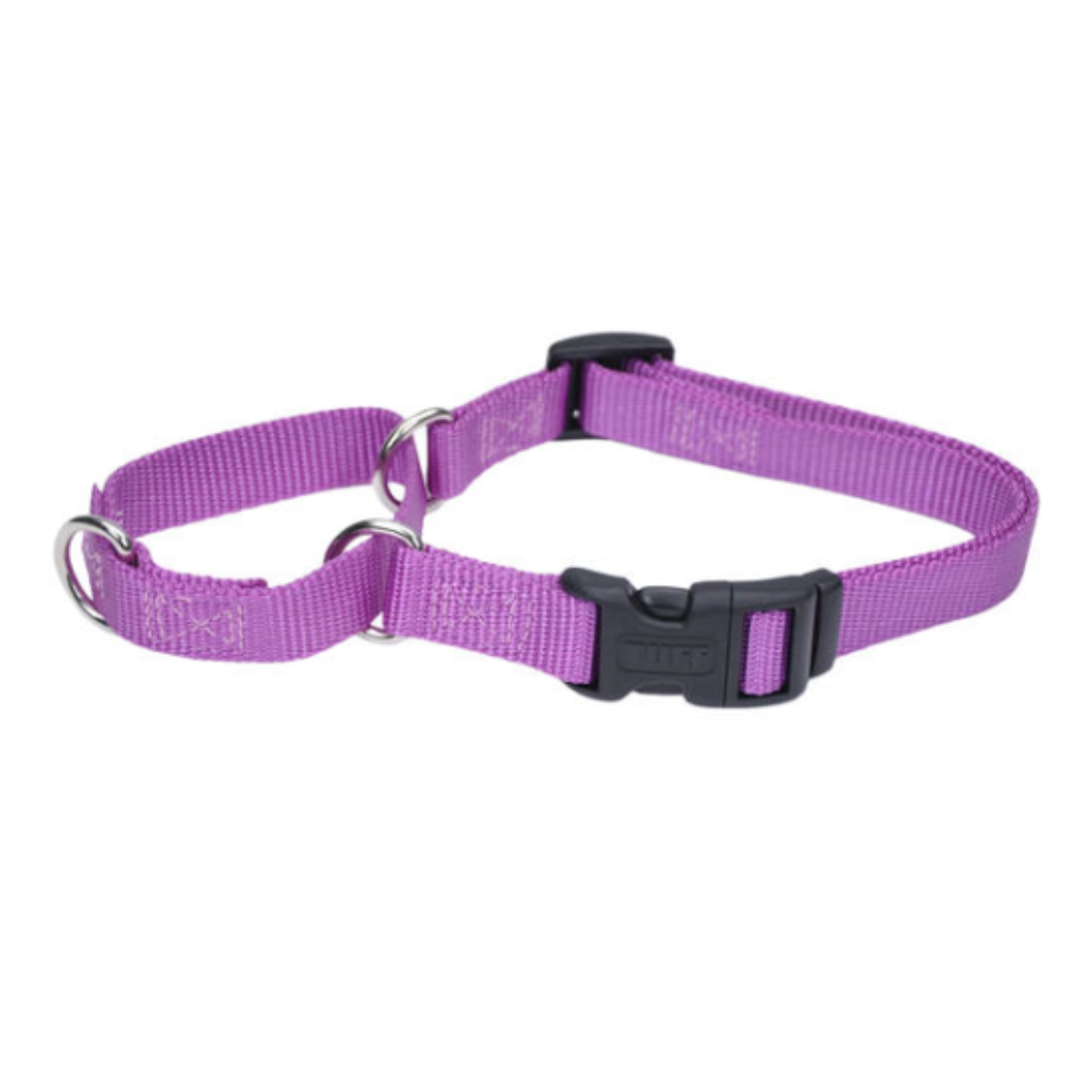 No Slip Martingale Adj with Buckle Orchid