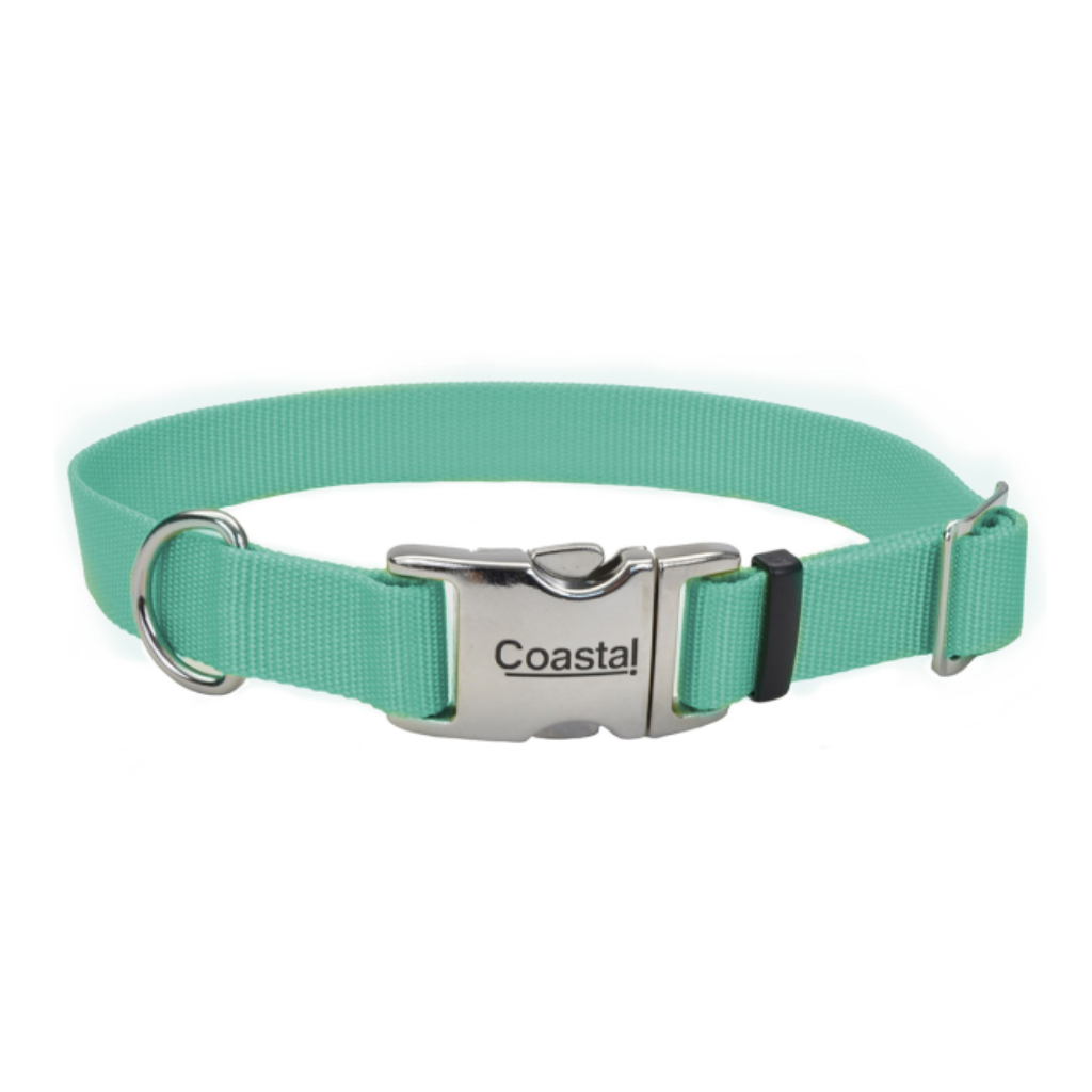 Adjustable Collar w Metal Buckle Teal