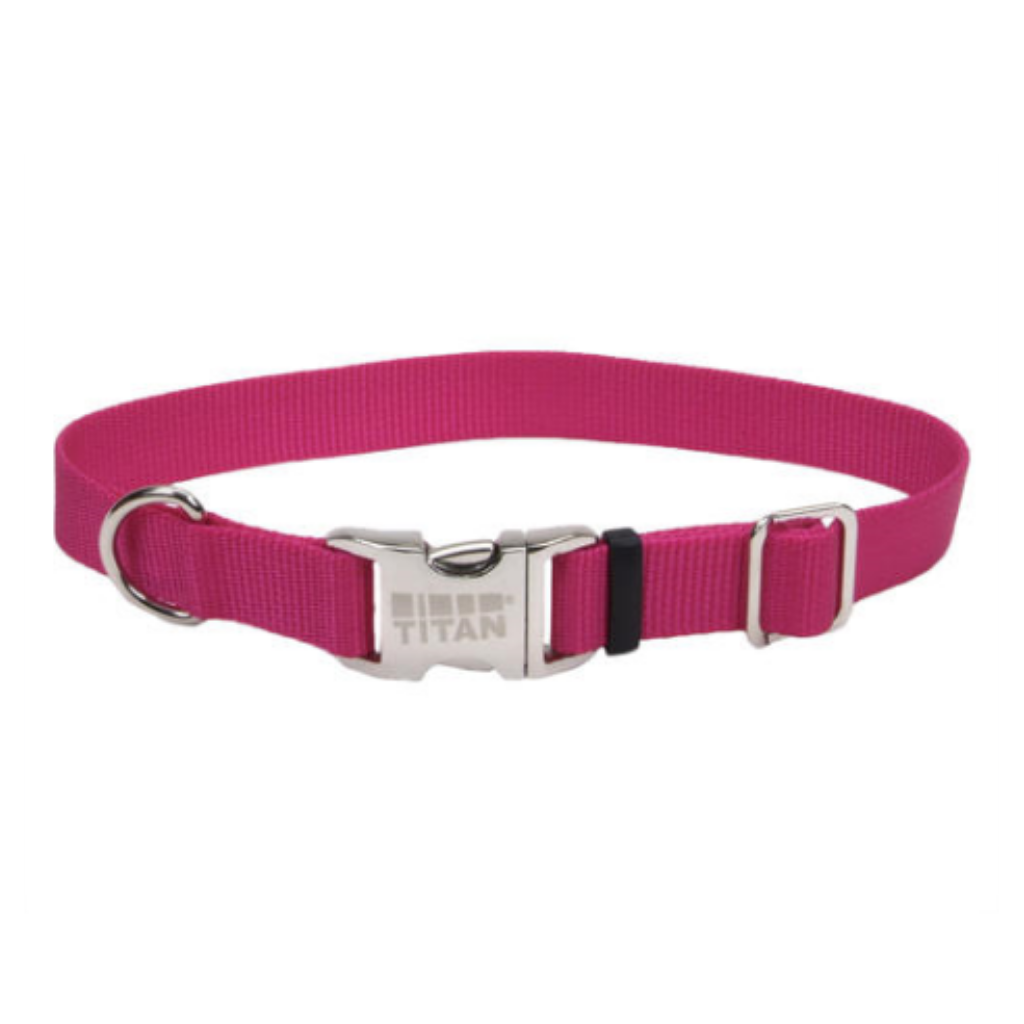 Titan Adj Nylon Collar with Buckel Pink Flamingo