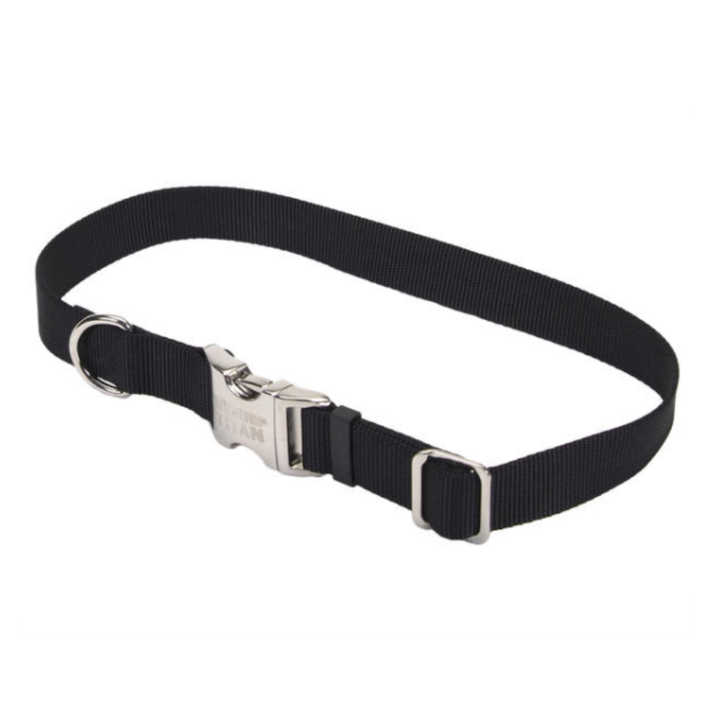 Titan Adj Nylon Collar w Buckle Collar Black