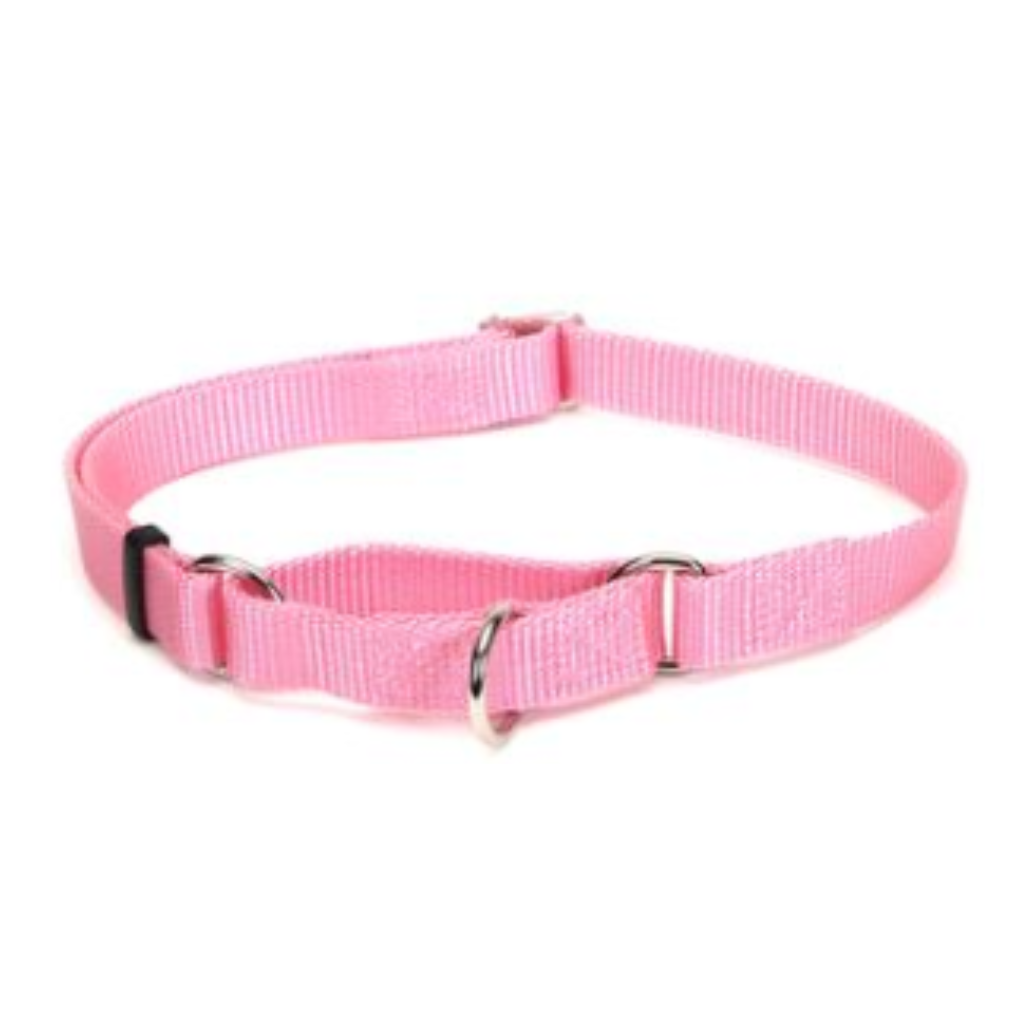 No Slip Martingale Adj Collar Bright Pink