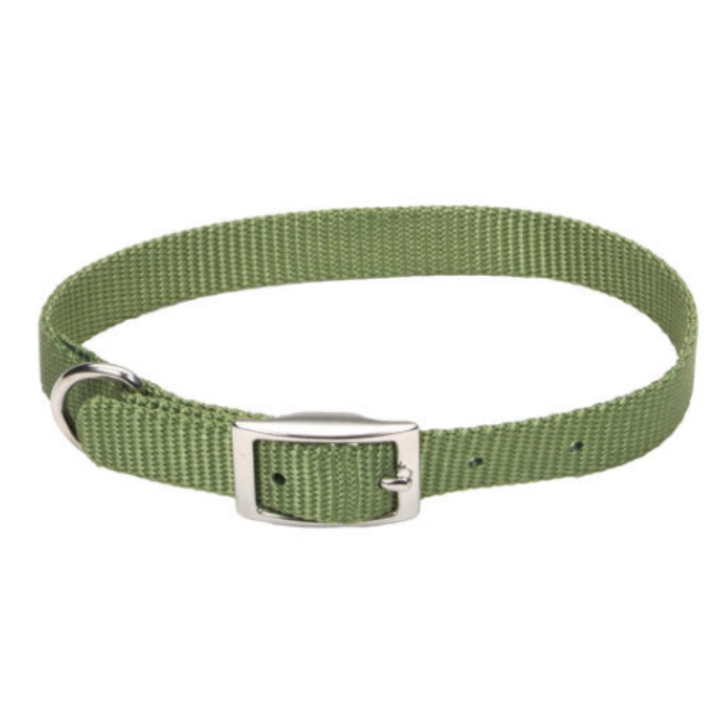 Standard Nylon Collar Palm Green