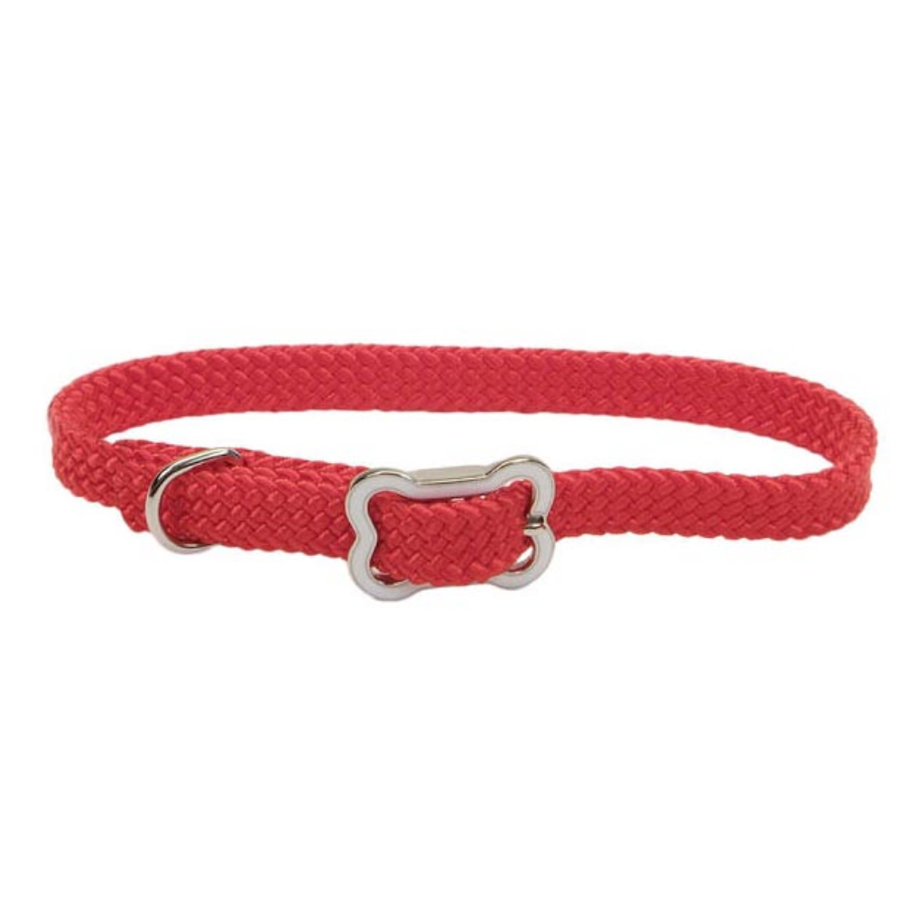 Sunburst Collar with Buckle Red