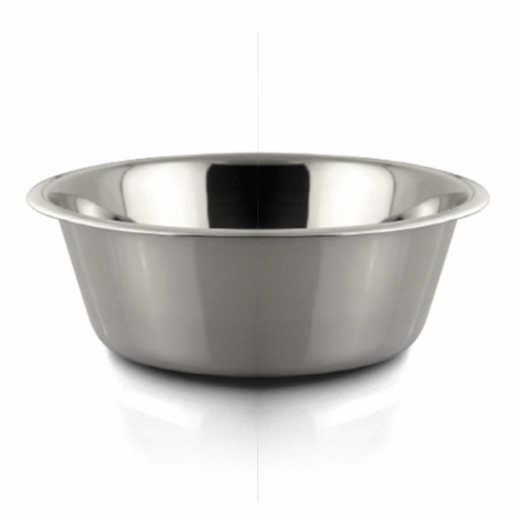 Stainless Steel Bowl