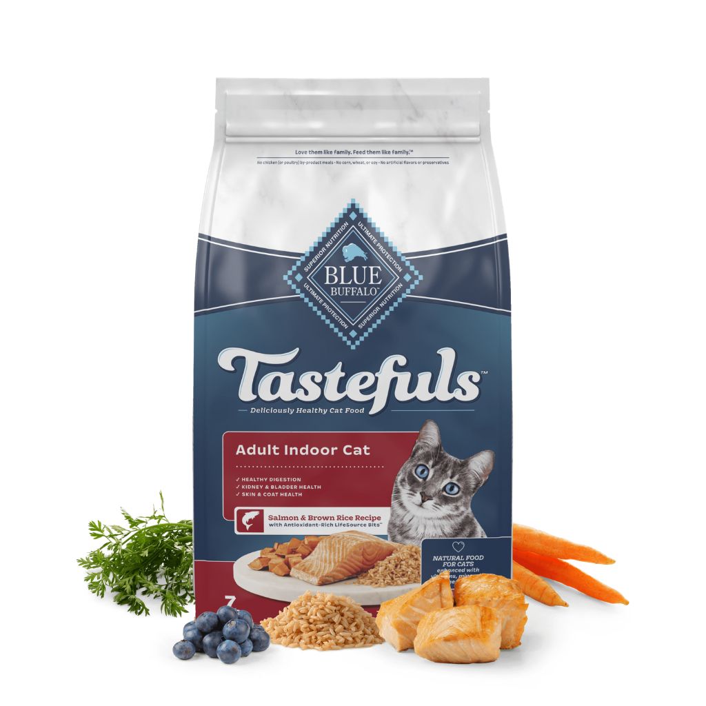 Indoor Health Adult Salmon