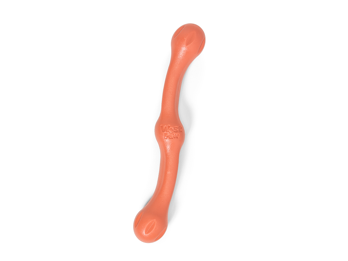 West Paw Zwig Fetch Toy