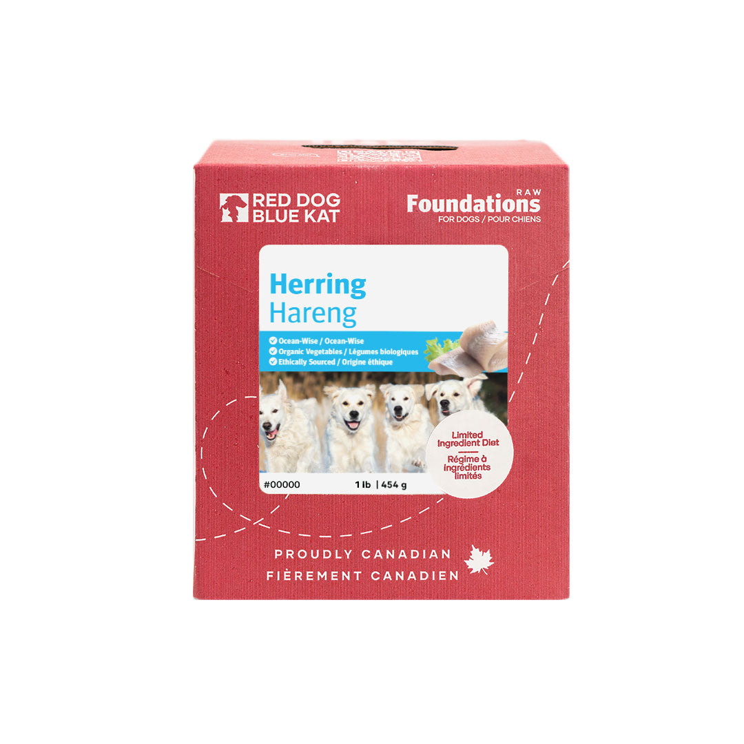 Red Dog Blue Kat Foundations Dog Herring