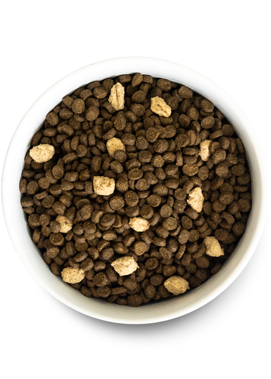 Open Farm RAWMIX Wild Ocean Grain Free Recipe for CATS