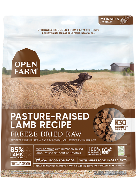 Open farm lamb dog food shop