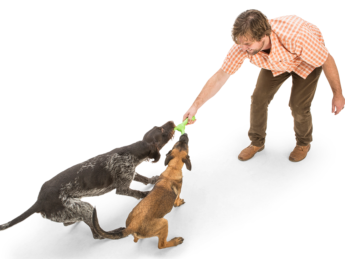 West Paw Skamp Fetch Toy