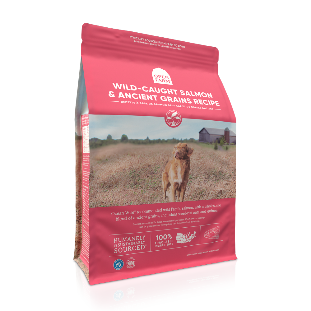 Open Farm Wild-Caught Salmon & Ancient Grains Dry Dog Food