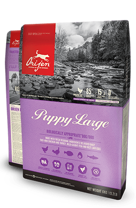 Orijen Puppy Large Breed 11.4kg
