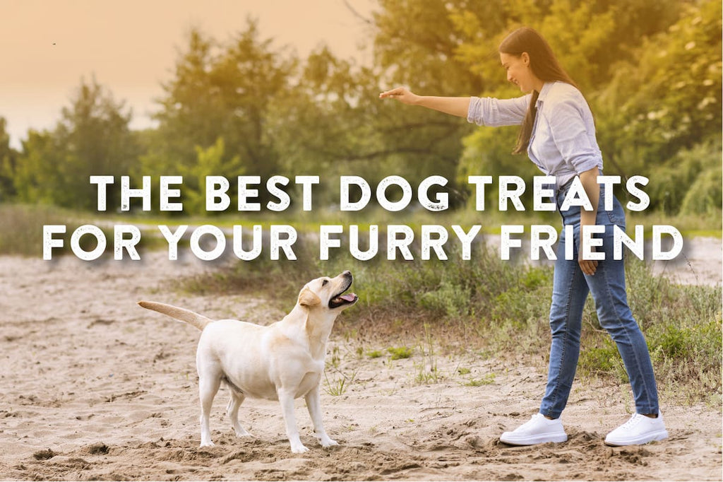 Only the best dog treats for your furry friend
