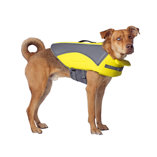 Canada Pooch Wave Rider Life Jacket Naturally Urban Pet Store
