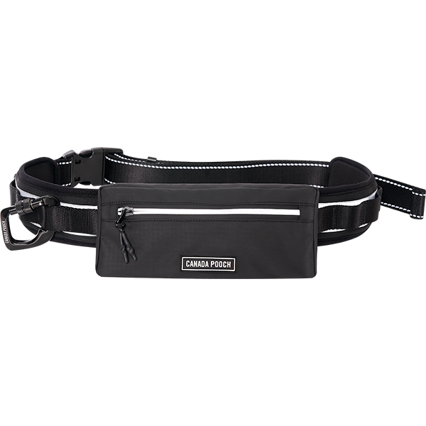 Canada Pooch Core Handsfree Dog Walking Utility Belt - Black