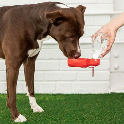 Water Bottle Red
