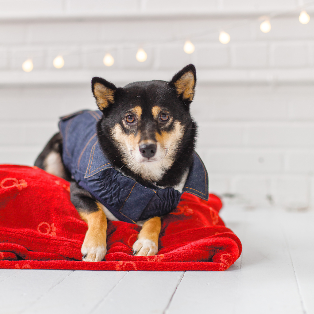 Blanket Red