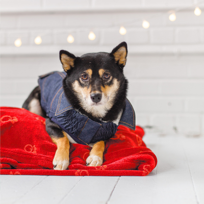 Blanket Red