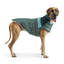 Elasto-Fit Camplife Puffer Sage