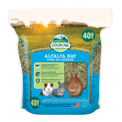 Oxbow Hay Alfalfa