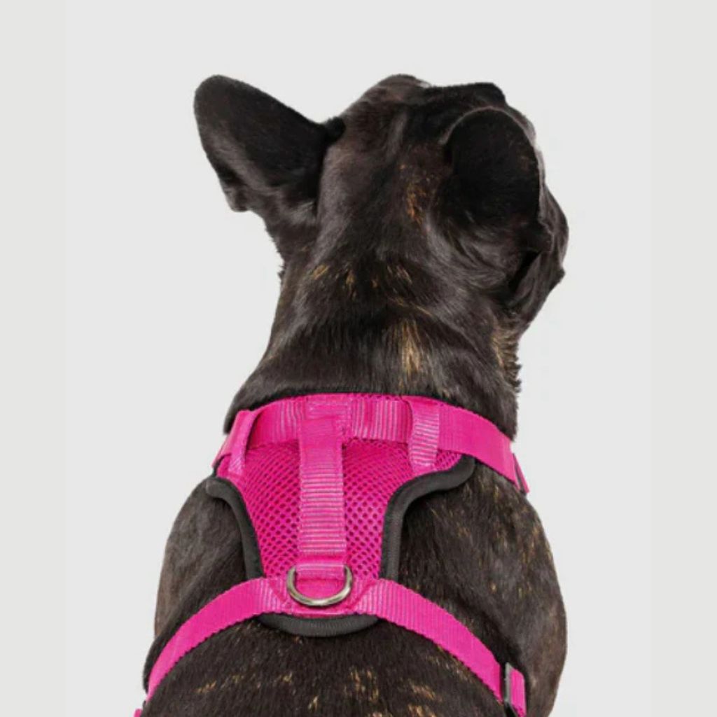 Core Everything Harness Mesh Pink