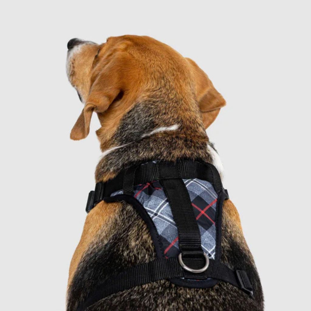 Core Everything Harness Water Resistant Plaid