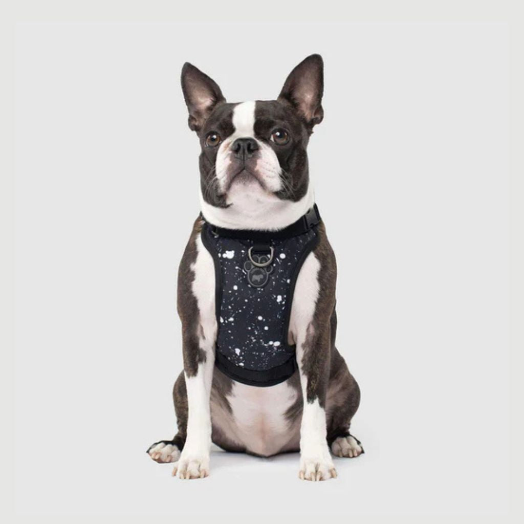 Core Everything Harness Water Resistant Splatter