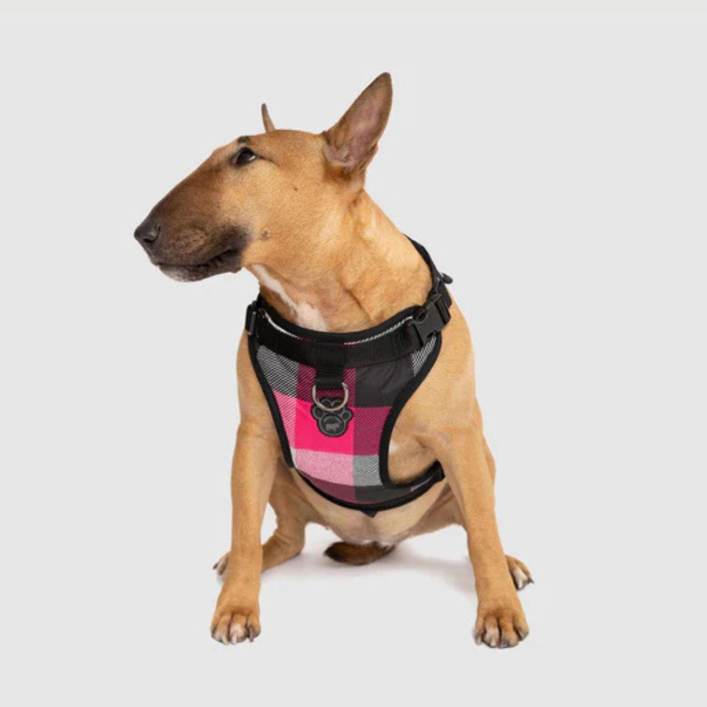 Core Everything Harness Water Resistant Pink Plaid