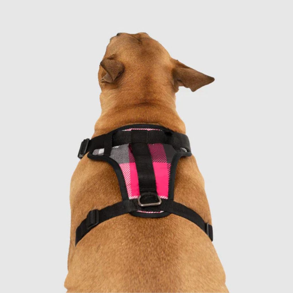 Core Everything Harness Water Resistant Pink Plaid