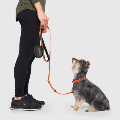 Core Utility Leash - Orange Camo